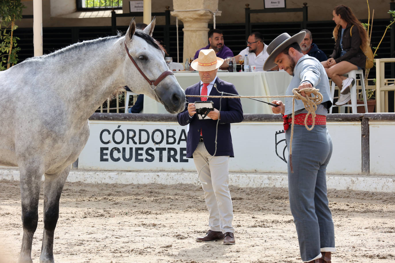 Fotos: El Concurso Morfológico de Cabalcor en Córdoba