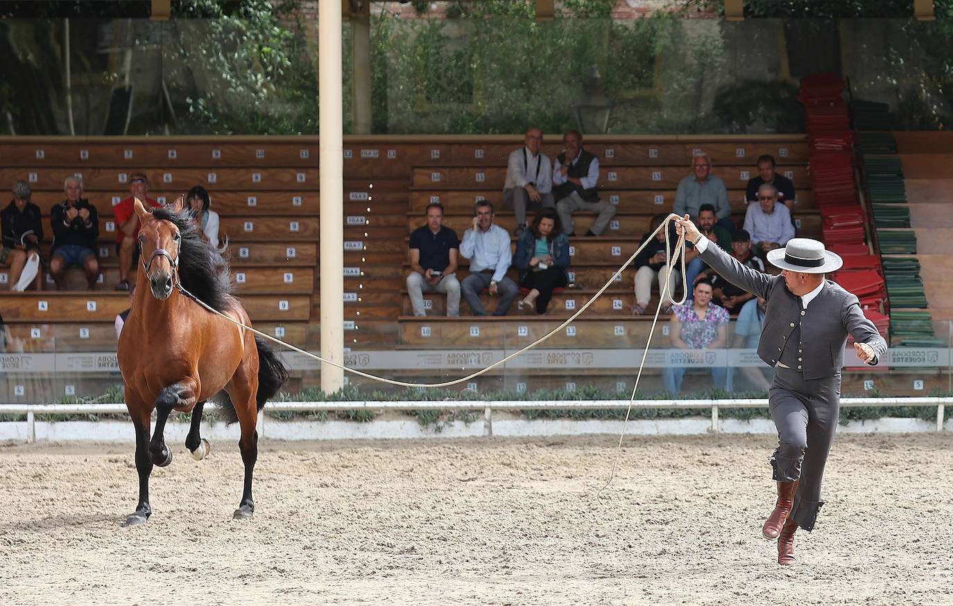 Fotos: El Concurso Morfológico de Cabalcor en Córdoba