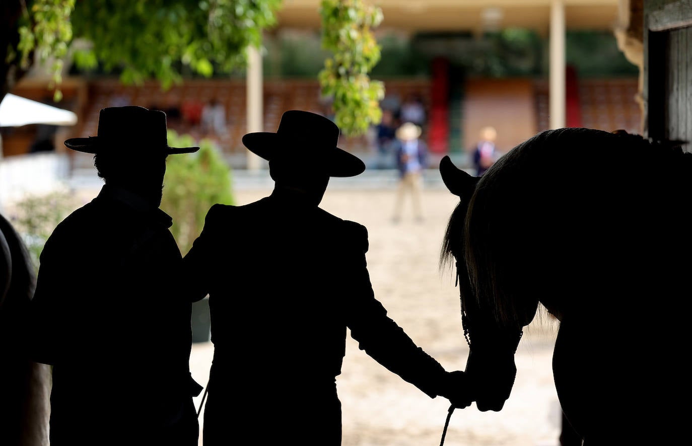 Fotos: El Concurso Morfológico de Cabalcor en Córdoba