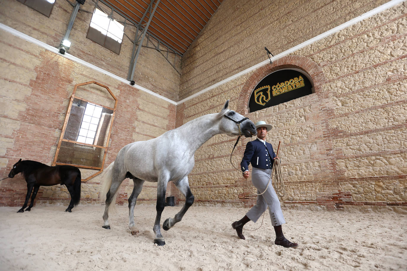 Fotos: El Concurso Morfológico de Cabalcor en Córdoba