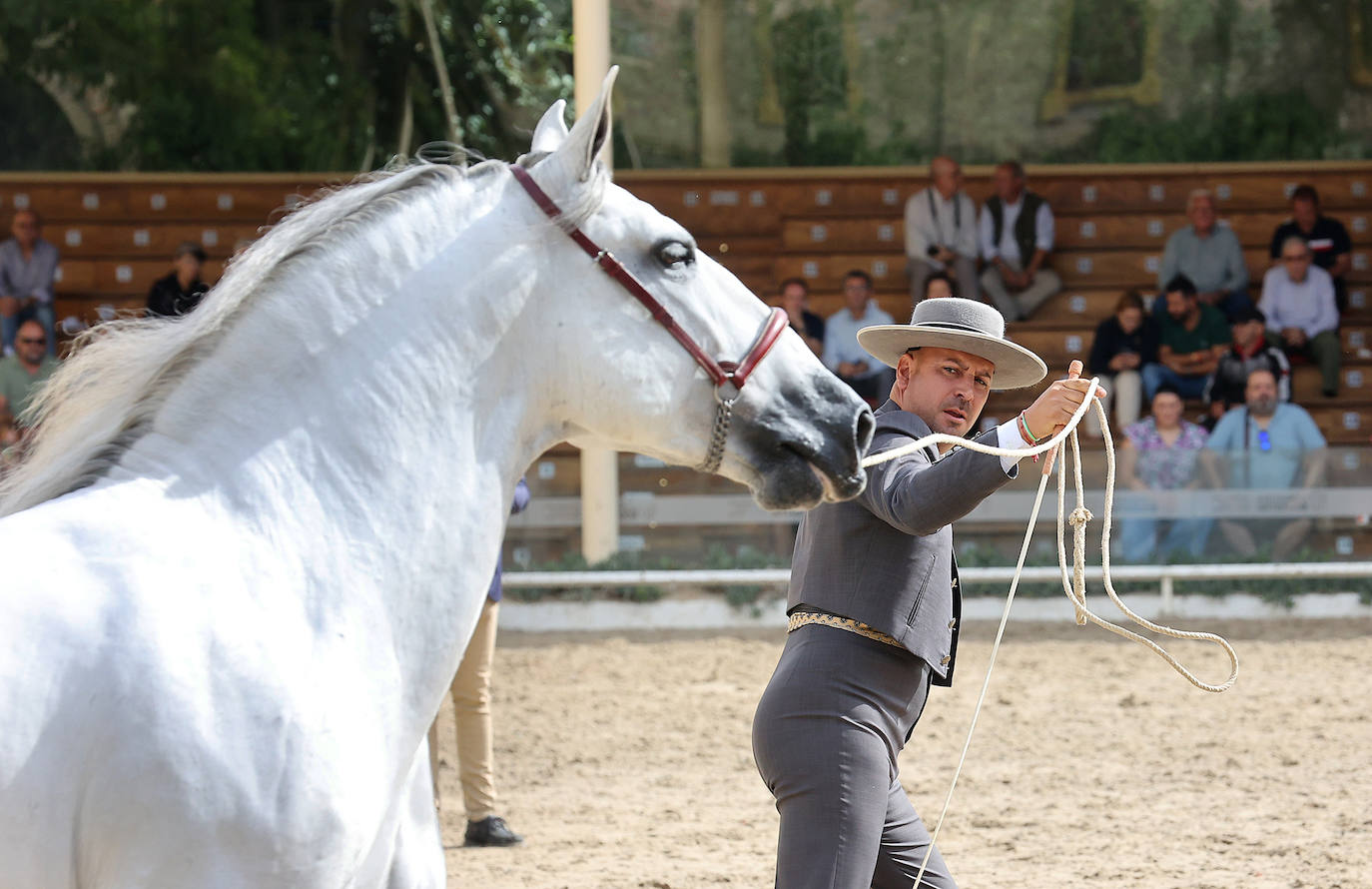 Fotos: El Concurso Morfológico de Cabalcor en Córdoba