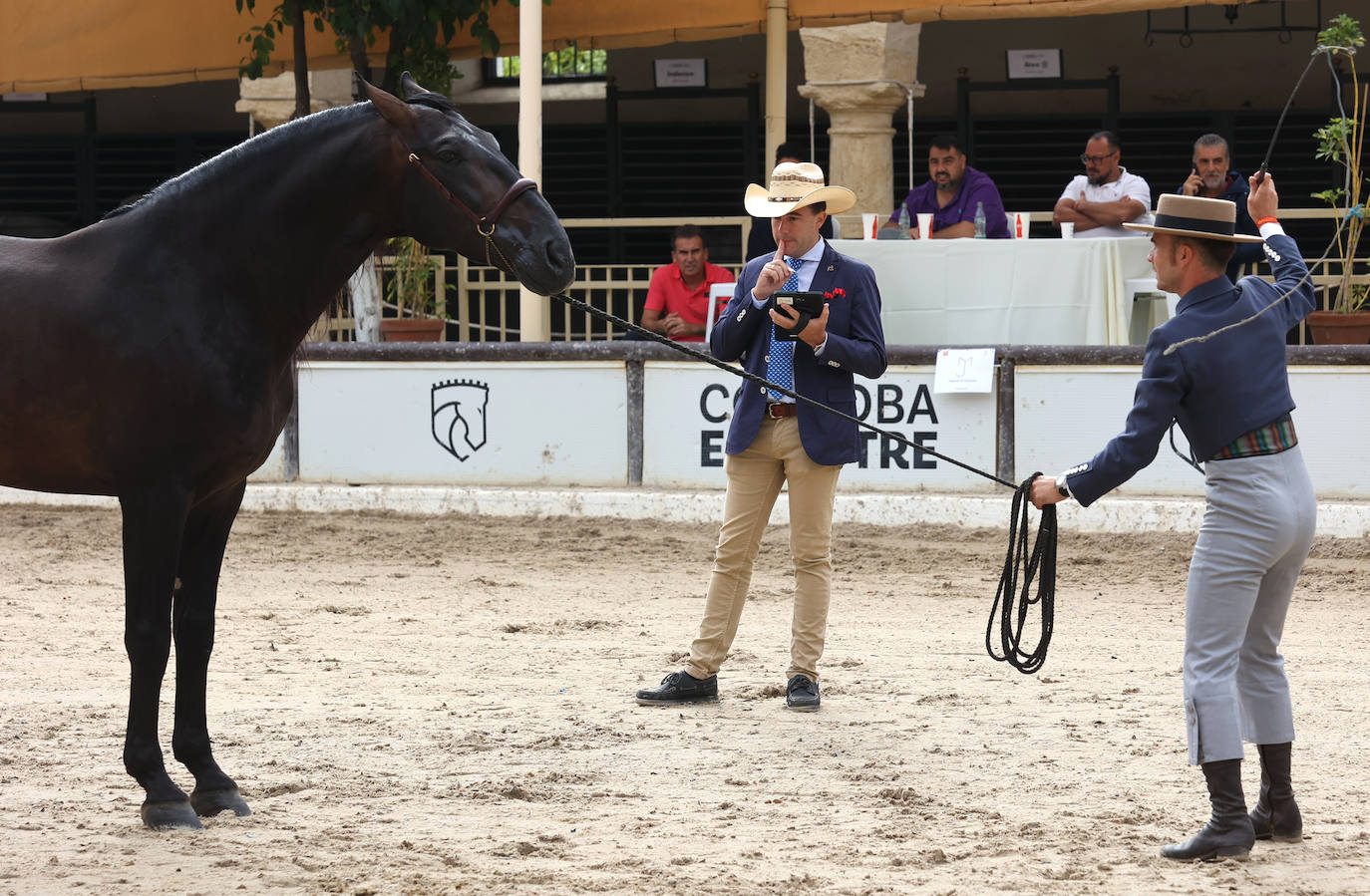 Fotos: El Concurso Morfológico de Cabalcor en Córdoba