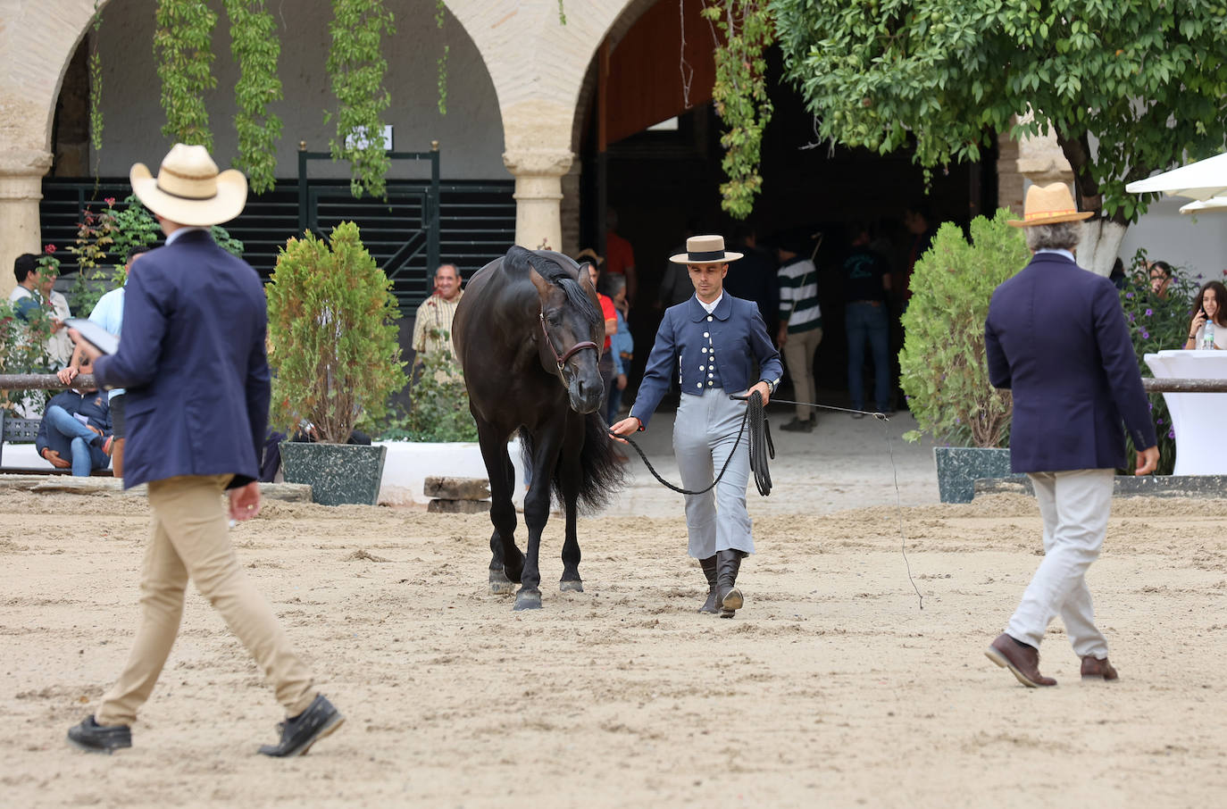 Fotos: El Concurso Morfológico de Cabalcor en Córdoba