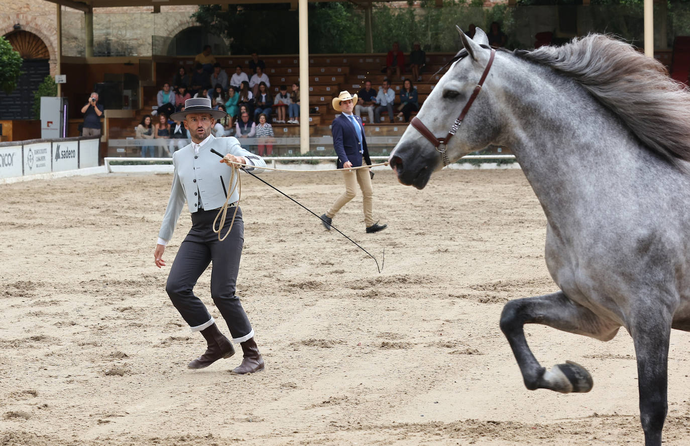 Fotos: El Concurso Morfológico de Cabalcor en Córdoba