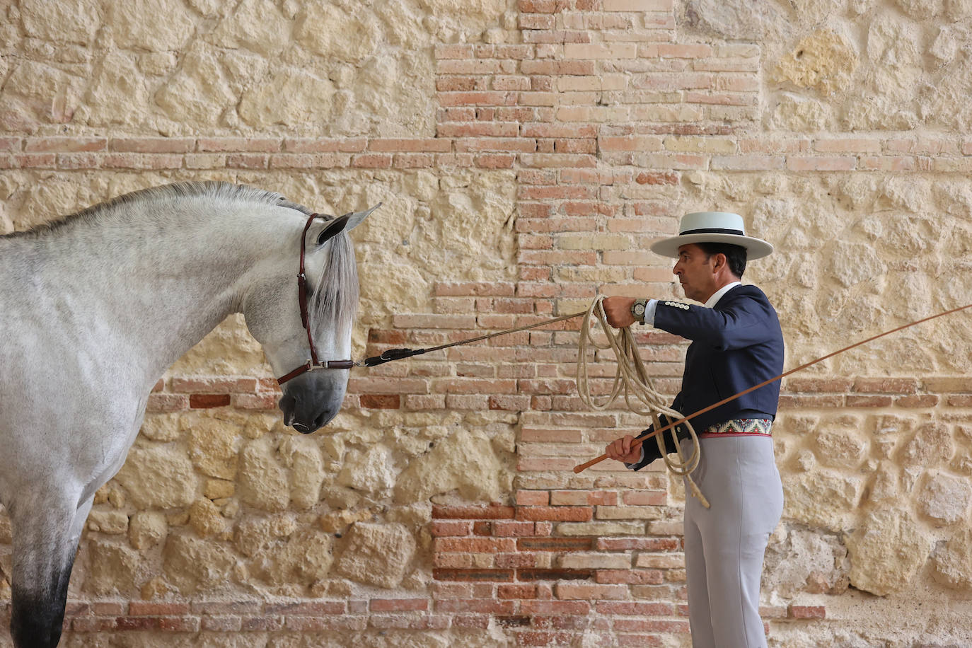 Fotos: El Concurso Morfológico de Cabalcor en Córdoba