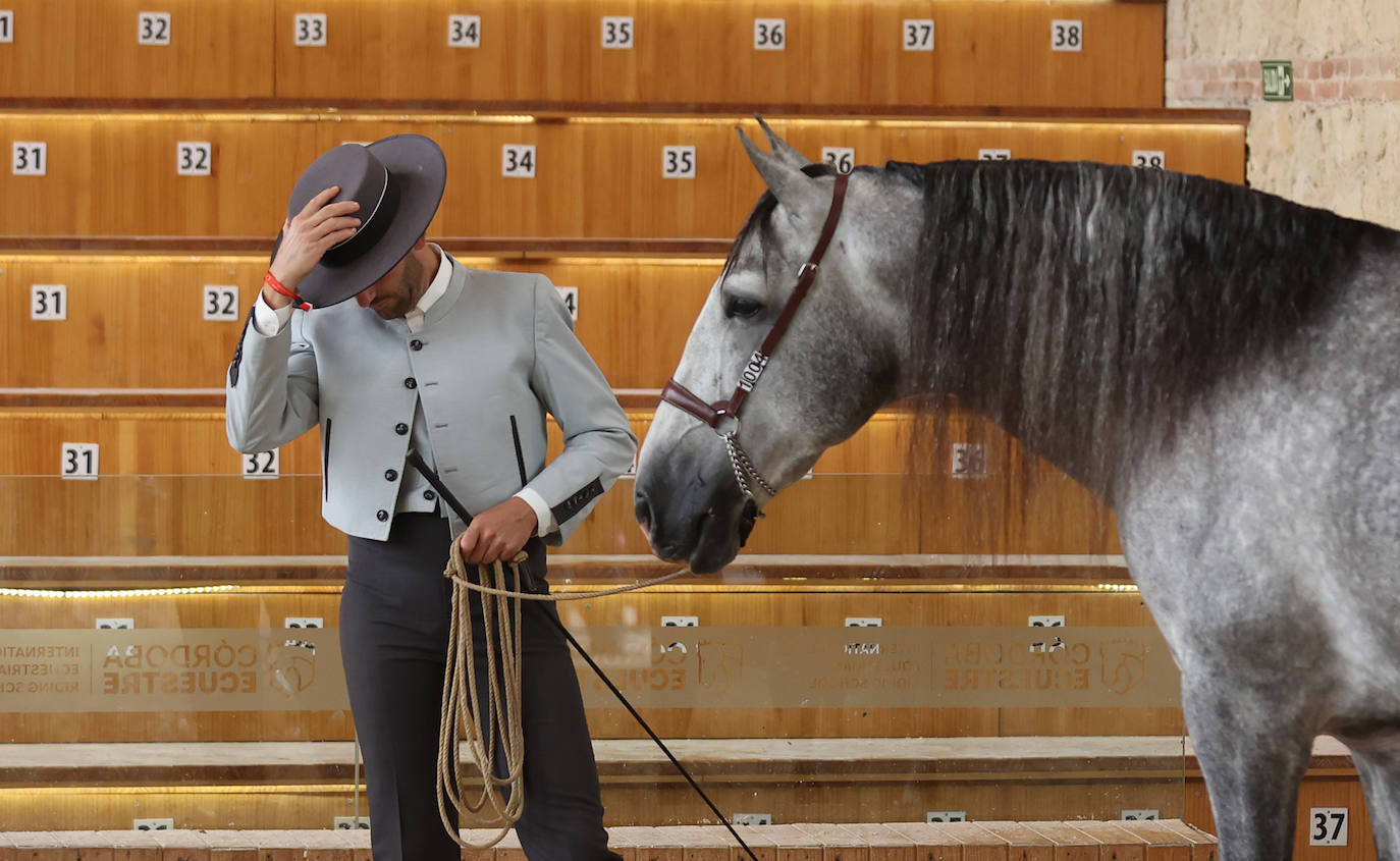 Fotos: El Concurso Morfológico de Cabalcor en Córdoba