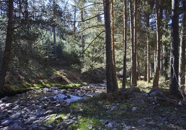 La bonita ruta de senderismo fácil y a una hora de Madrid perfecta para empezar el otoño