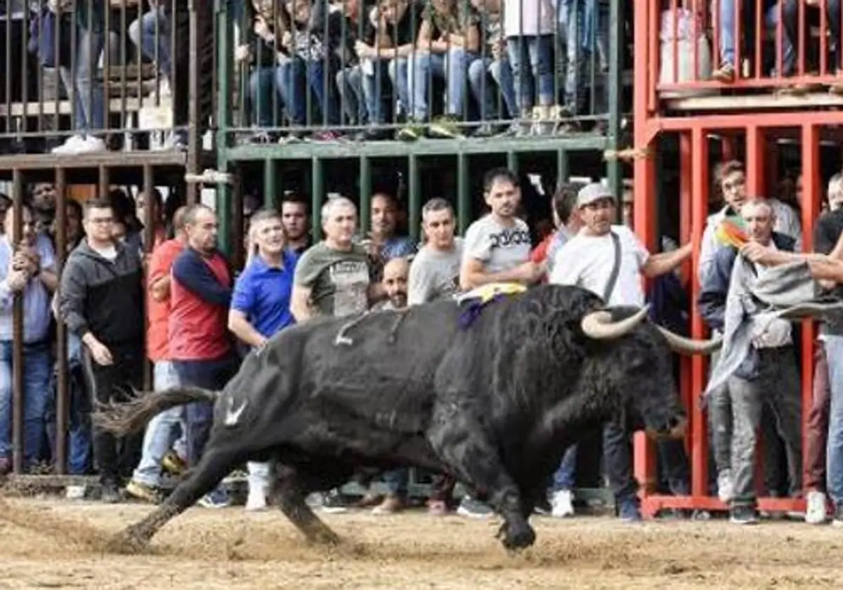 Muere un hombre al ser corneado por un toro en unos festejos populares en  Valencia