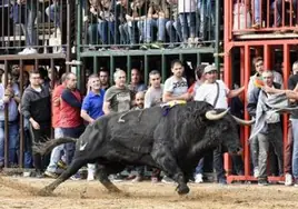 Muere un hombre al ser corneado por un toro en unos festejos populares en Valencia