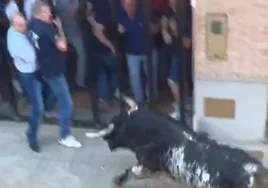 Luto en Pamesa por la muerte de un directivo al ser corneado por un toro en Valencia