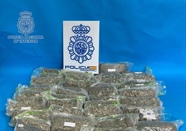 Detenido en Irún un pasajero de un autobús con 19 kilos de marihuana