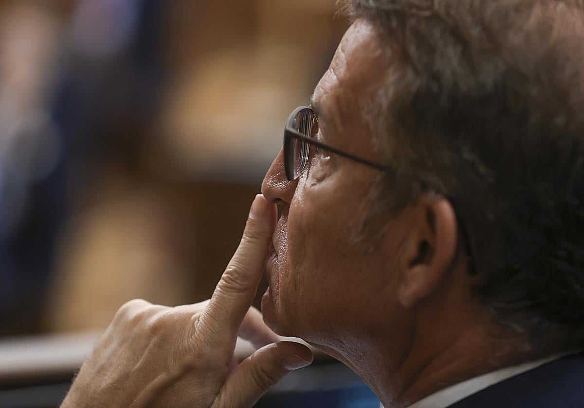 El líder del PP, Alberto Núñez-Feijóo, durante un pleno del Congreso