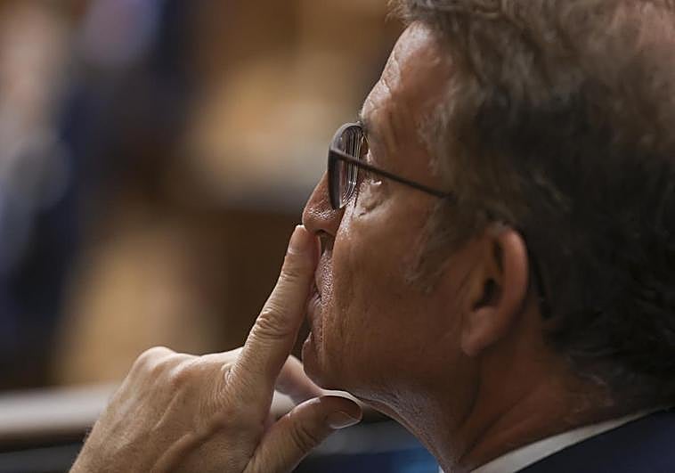 El líder del PP, Alberto Núñez-Feijóo, durante un pleno del Congreso