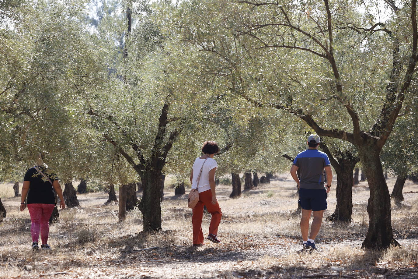 En imágenes, la búsqueda en Los Morales de la joven desaparecida en Córdoba