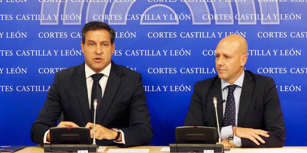 PP y Vox quieren bonificar por ley un 95% las tasas veterinarias hasta diciembre de 2025