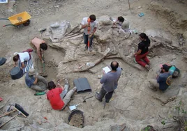 Descubren en Castellón uno de los dinosaurios más grandes de Europa