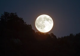 Luna de la Cosecha: ¿qué es y cuándo podrá verse la última superluna del año?