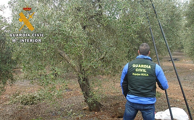 Operación de un Equipo Roca en un olivar andaluz