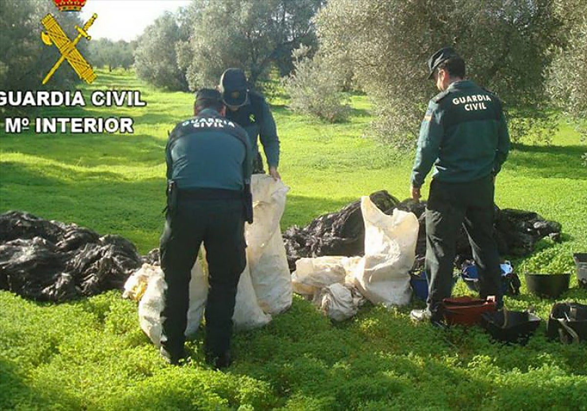 Una de las operaciones de la Guardia Civil contra los robos en el campo