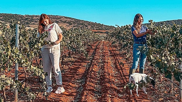 Ana y Laura, en uno de los viñedos que tienen en Santa Cruz de Mudela (Ciudad Real)