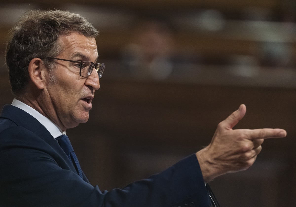 Alberto Núñez Feijóo, durante el debate de investidura de la semana pasada en el Congreso