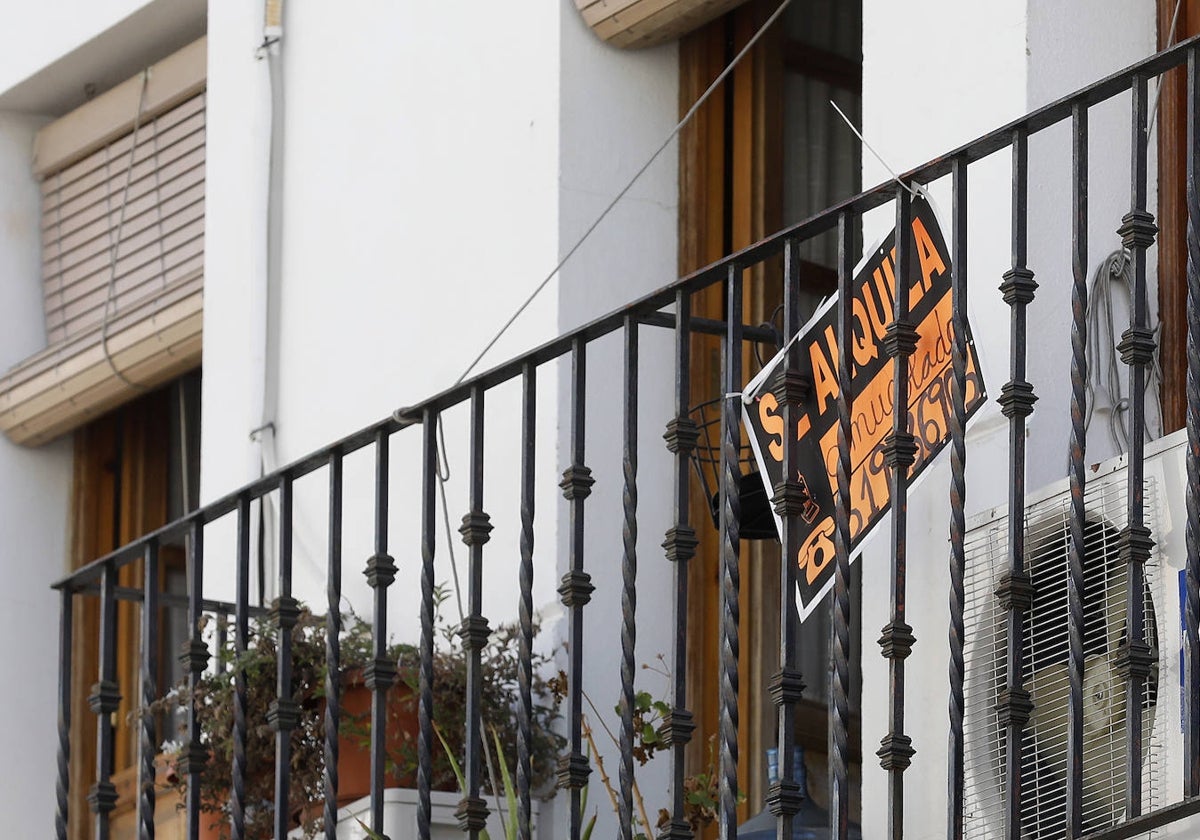 Imagen de un cartel de alquiler en una vivienda
