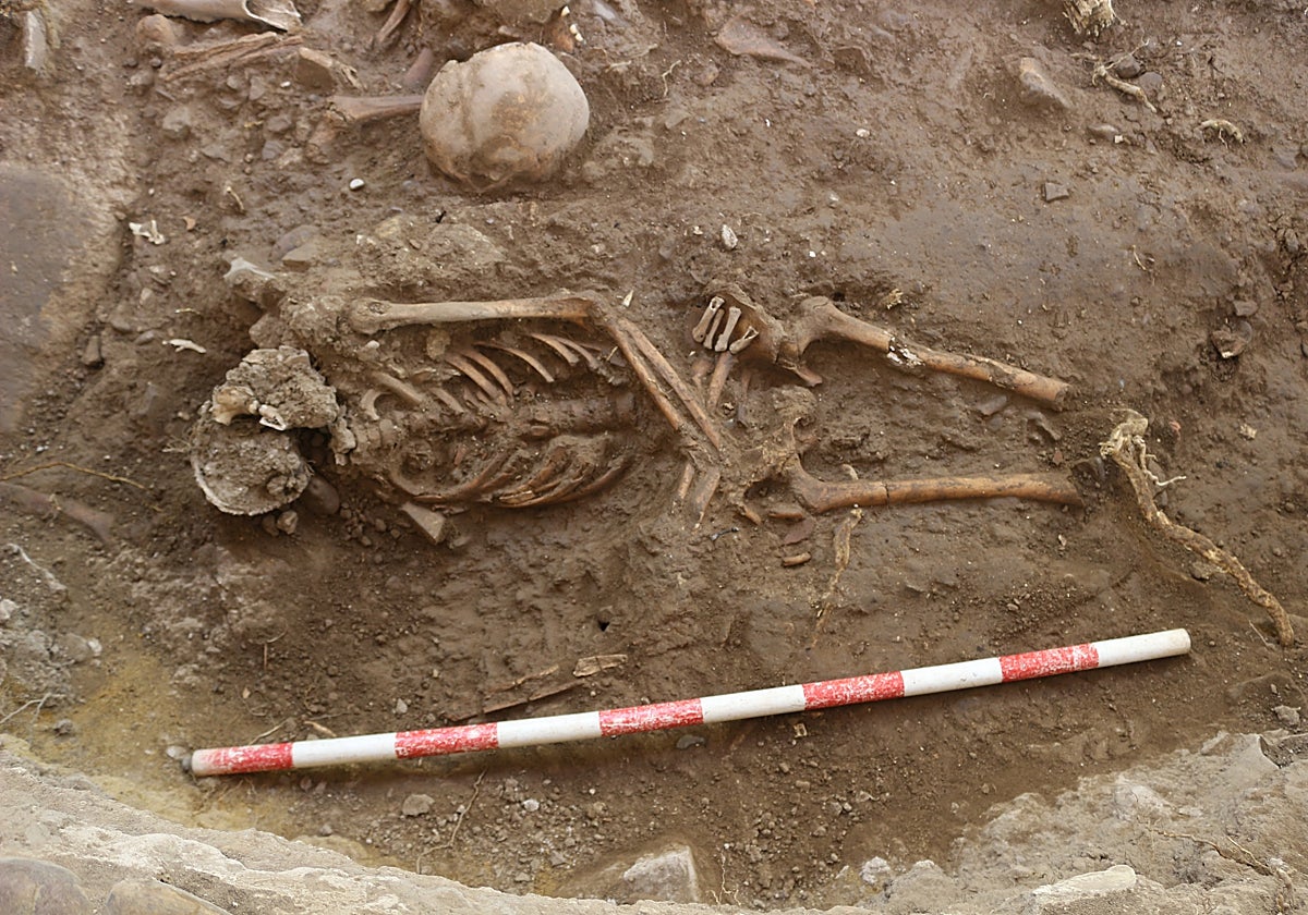 Restos hallados en el Patio de los Naranjos