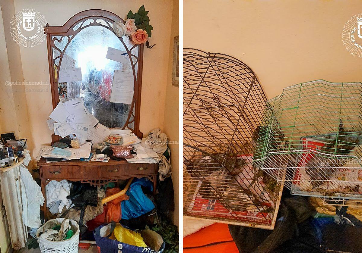 La Policía Municipal rescata a una anciana retenida por su hija entre palomas y basura en su piso de Madrid