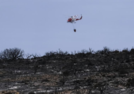 El fuego en Tenerife no quiere morir: «Esto no está ni mucho menos controlado»