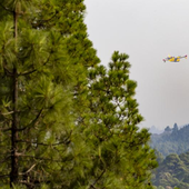 El incendio forestal en Tenerife pasa a nivel 2 y se activa la UME