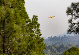 El incendio forestal en Tenerife pasa a nivel 2 y se activa la UME