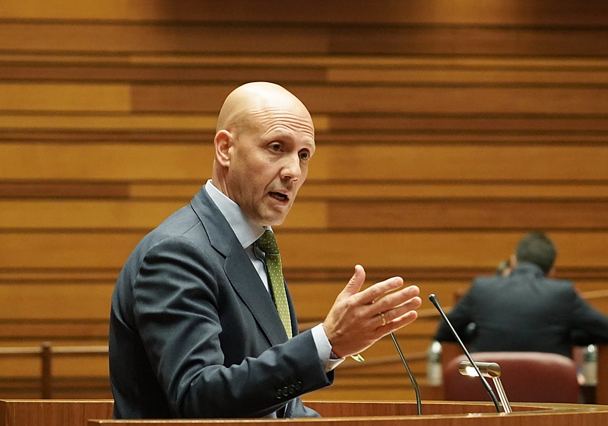 El portavoz de Vox en las Cortes, Carlos Menéndez