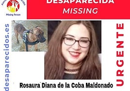 Hallan «en perfectas condiciones» a la joven desaparecida en Madrid hace una semana y con orden de alejamiento de su expareja