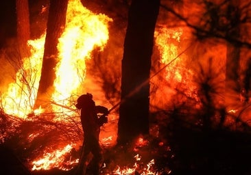 El nuevo plan de Infocal señala 700 municipios de protección prioritaria contra incendios