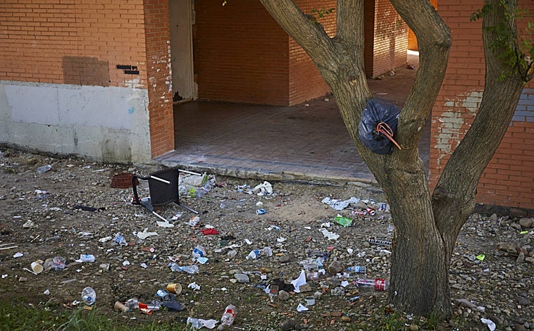 Imagen principal - Basura en los alrededores de los edificios okupados; los moradores saliendo de uno de ellos; y animales muertos en el exterior