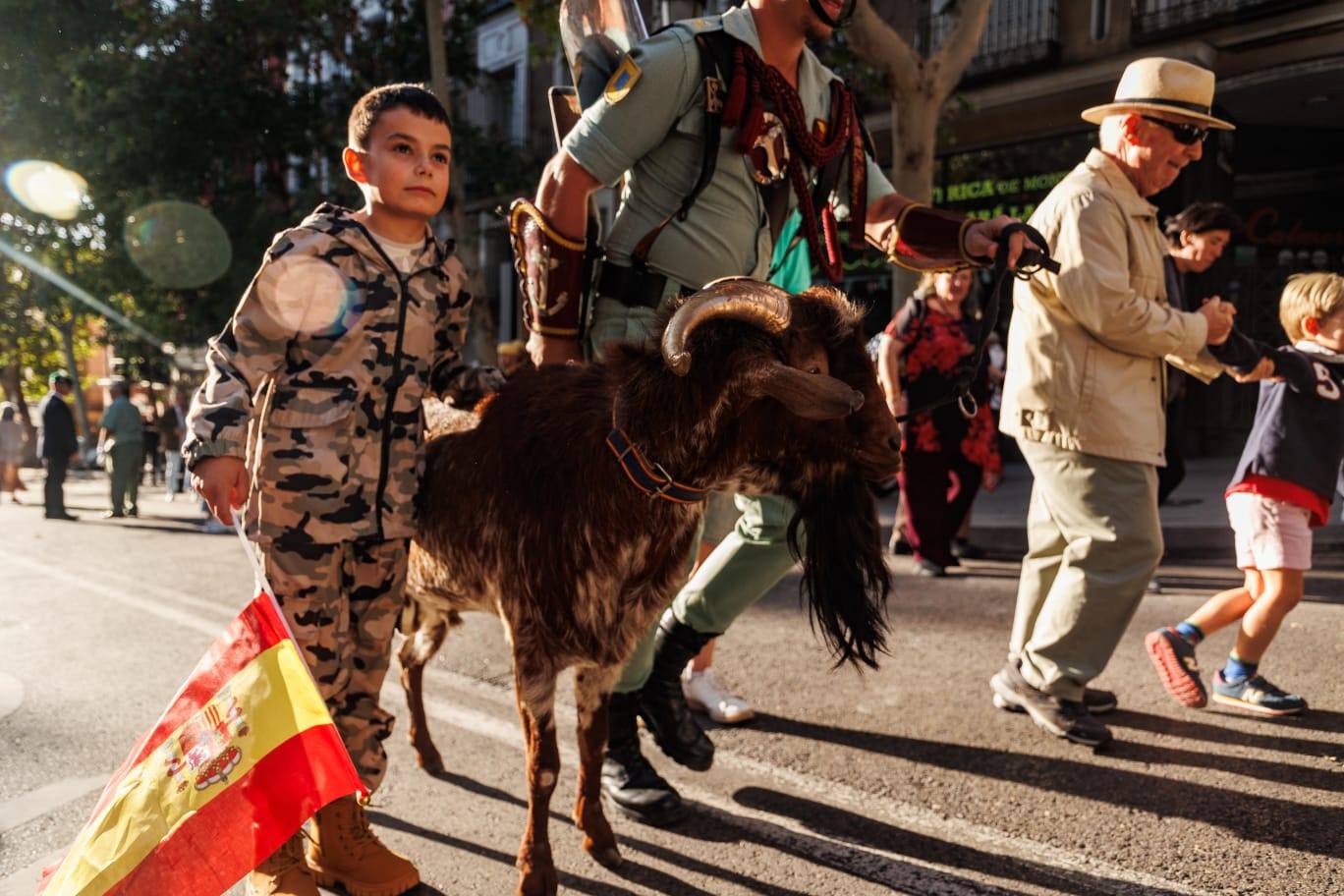 Un niño se acerca a la cabra Pacoli, una de las protagonistas del desfile