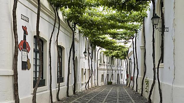 Calle Ciegos en Jerez de la Frontera