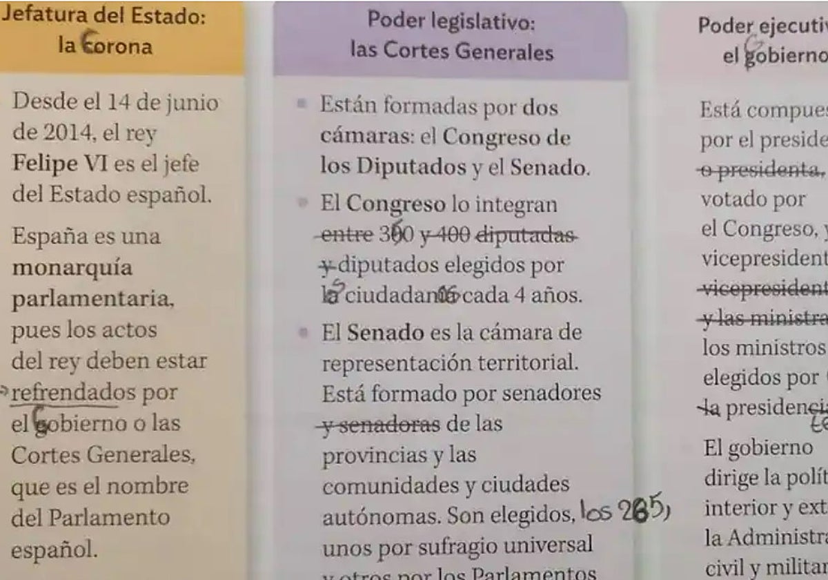Correcciones para suprimir palabras en plural en femenino en uno de los libros de un alumno del profesor de Valladolid.