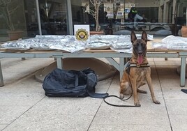 Un perro policía descubre 56 kilos de hachís y marihuana en dos mochilas dentro de un autocar con destino a Rumanía