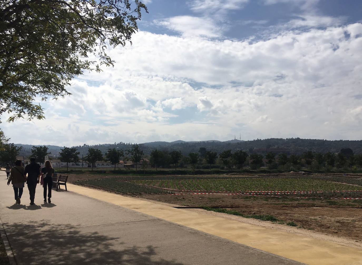 Las imágenes de las obras en Vega Baja