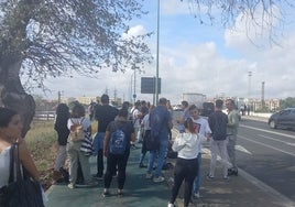 El equipo de TVE localizó el cuerpo de Álvaro Prieto y paró el tren durante un directo en Santa Justa