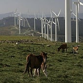 La patronal eólica, expectante por la posible anulación de futuros parques