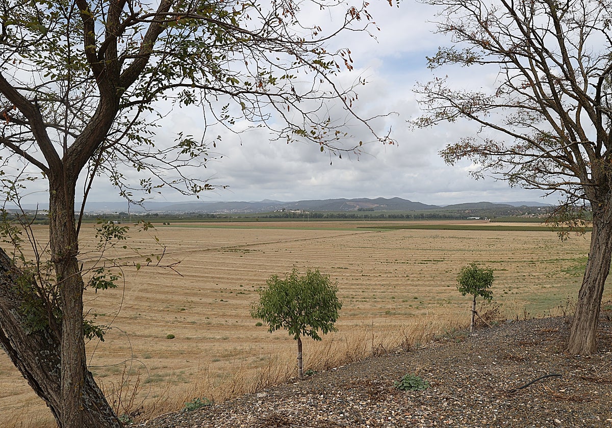 Terrenos de la Base Logística del Ejército de Tierra