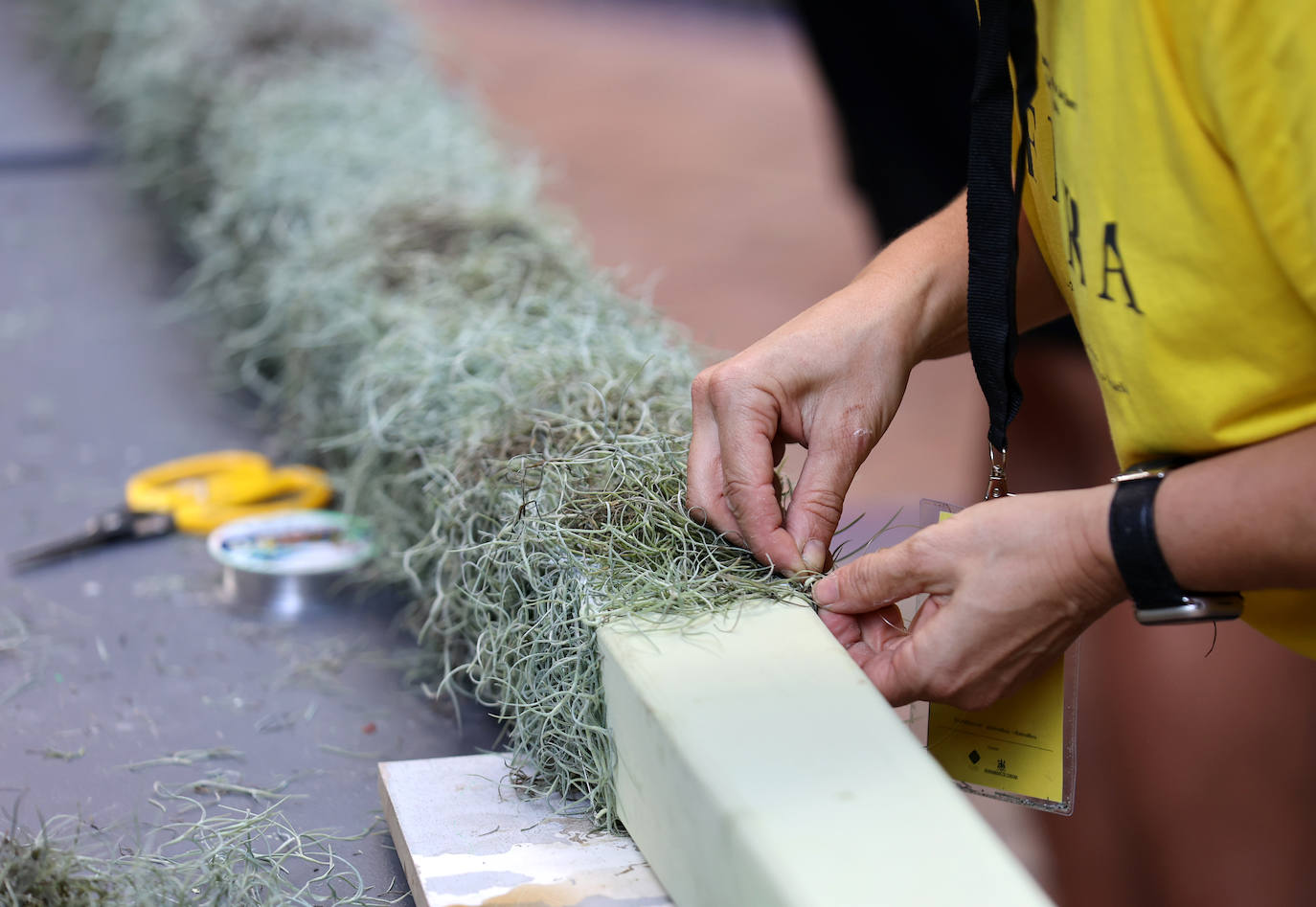 Fotos: Los últimos preparativos de Flora en Córdoba