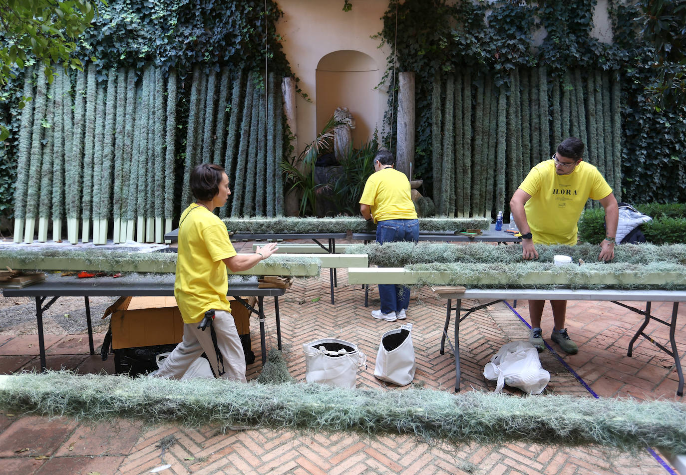 Fotos: Los últimos preparativos de Flora en Córdoba