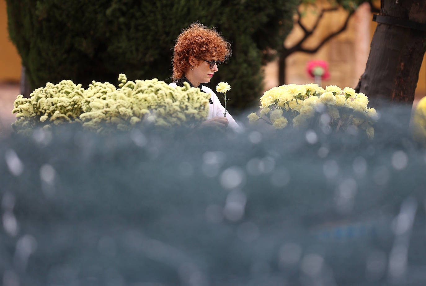 Fotos: Los últimos preparativos de Flora en Córdoba