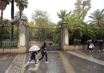 El Ayuntamiento de Córdoba cerrará este jueves los parques por el temporal de lluvia y viento