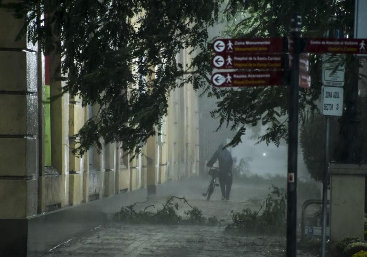 Una persona camina por una calle llena de ramas caídas a causa del viento y la lluvia, este jueves en Sevilla