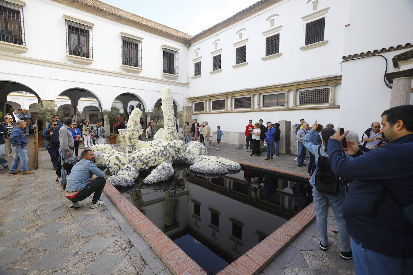 Fotos: radiante y multitudinaria segunda jornada de Flora