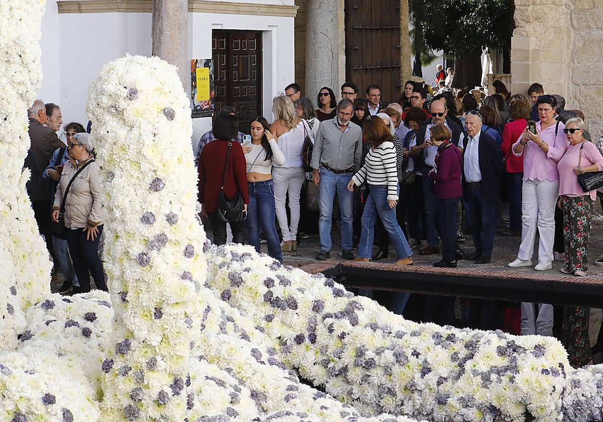 Instalación de Flora montada en el Museo Arqueológico